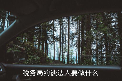 稅務(wù)異常約談法定代表干什么，稅務(wù)局約談法人要做什么