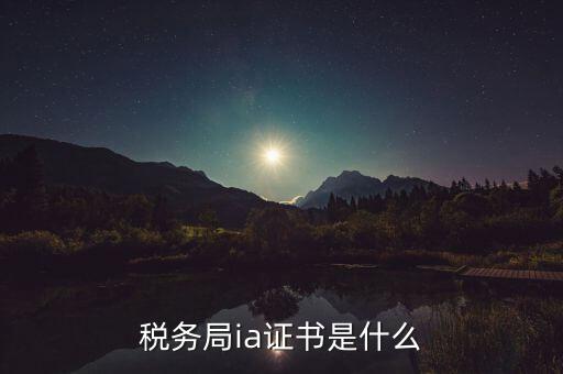 稅收數(shù)字證書是什么，什么是稅務(wù)局的CA證書
