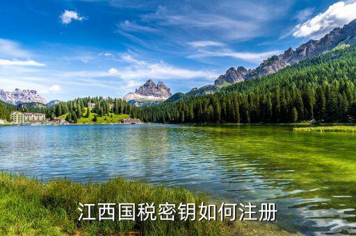 江西國稅密鑰是什么意思，為啥江西國稅的CA密鑰總是裝不成功