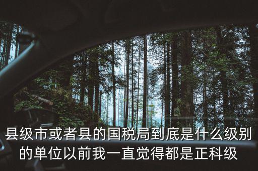 縣國(guó)稅局辦稅服務(wù)廳主任是什么級(jí)別，縣地稅局辦公室主任是什么行政級(jí)別