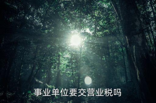 事業(yè)單位報(bào)的是什么稅，事業(yè)單位要申報(bào)哪些稅
