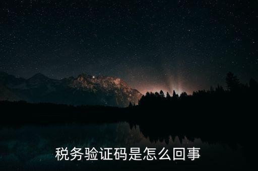 網(wǎng)上稅務(wù)局下載碼是什么意思，湖北省電子稅務(wù)局下載uk驅(qū)動二維碼是什么意思