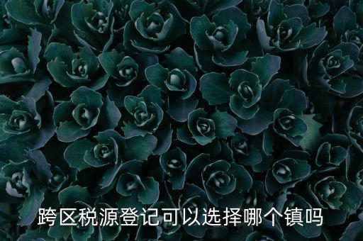 跨區(qū)稅源登記是什么，跨區(qū)稅源登記能否登記為一般納稅人
