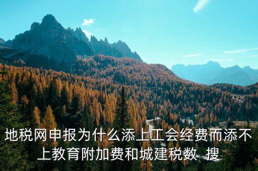 地稅網申報為什么添上工會經費而添不上教育附加費和城建稅數(shù)  搜