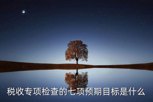 什么是稅收專項調(diào)查，稅收專項檢查的七項預(yù)期目標(biāo)是什么