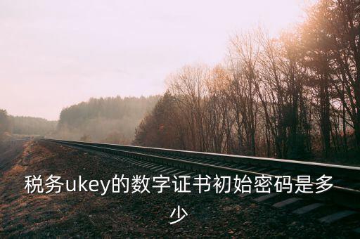 稅務ukey的數(shù)字證書初始密碼是多少