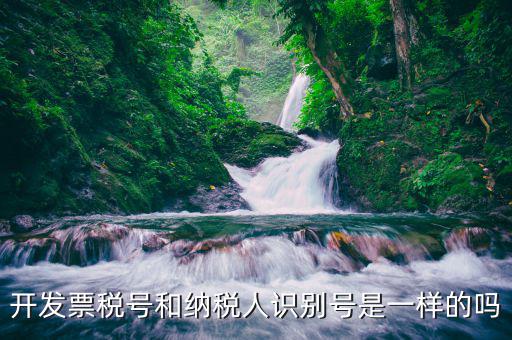 開發(fā)票稅號(hào)和納稅人識(shí)別號(hào)是一樣的嗎