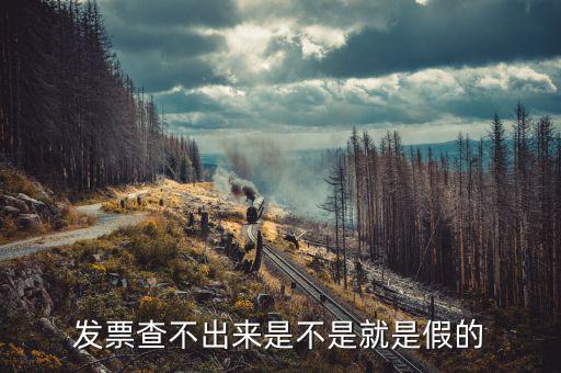 什么發(fā)票查不到真假，增值稅的發(fā)票真?zhèn)尾椴坏皆趺崔k
