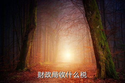 財(cái)政局征收什么稅，現(xiàn)行由財(cái)政機(jī)關(guān)征收的稅收有哪些拜托各位大神