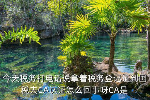 電子稅務(wù)局什么是ca登錄，網(wǎng)上報(bào)稅CA驗(yàn)證系統(tǒng)是甚么