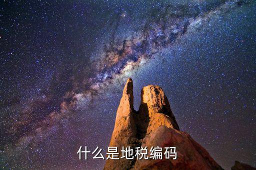 地稅編碼是什么意思，什么是地稅編碼