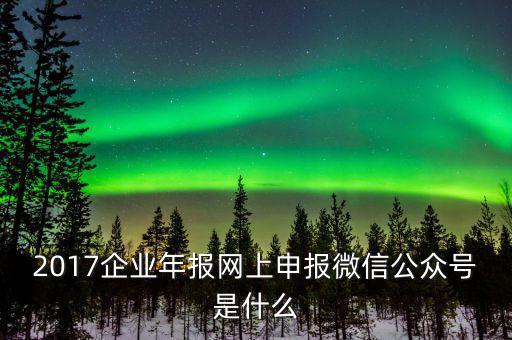 企業(yè)申報(bào)客戶端是什么意思，2017企業(yè)年報(bào)網(wǎng)上申報(bào)微信公眾號(hào)是什么