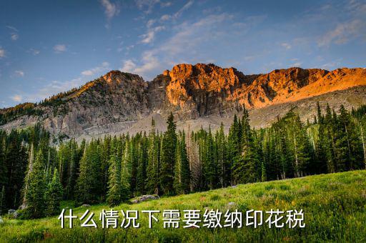什么需要交印花稅，哪些企業(yè)和個人需要交納印花稅的