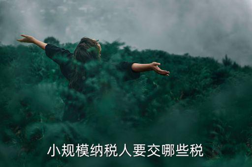 小規(guī)模納稅人報(bào)什么稅，小規(guī)模納稅人要交哪些稅