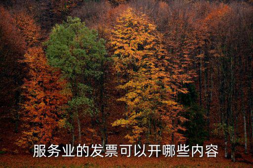 服務業(yè)的發(fā)票可以開哪些內容