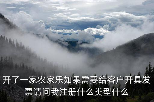 我要是以開普票為主 注冊什么性質的公司好，開了一家農家樂如果需要給客戶開具發(fā)票請問我注冊什么類型什么
