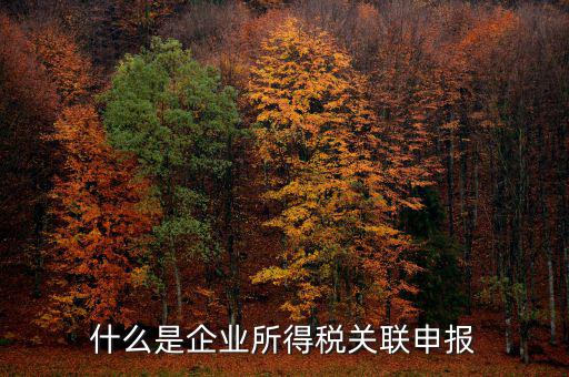 稅務(wù)關(guān)聯(lián)表是什么意思，所得稅中關(guān)聯(lián)關(guān)系是什么意思