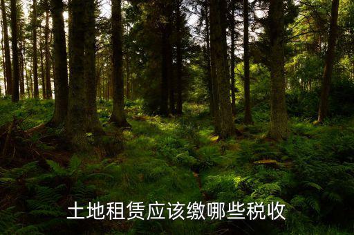 租賃政府土地交什么稅，土地使用權(quán)租賃要交哪些稅