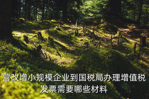 營(yíng)改增小規(guī)模企業(yè)到國(guó)稅局辦理增值稅發(fā)票需要哪些材料