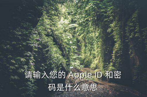 查詢個(gè)稅 密碼是輸入什么，請(qǐng)輸入您的 Apple ID 和密碼是什么意思