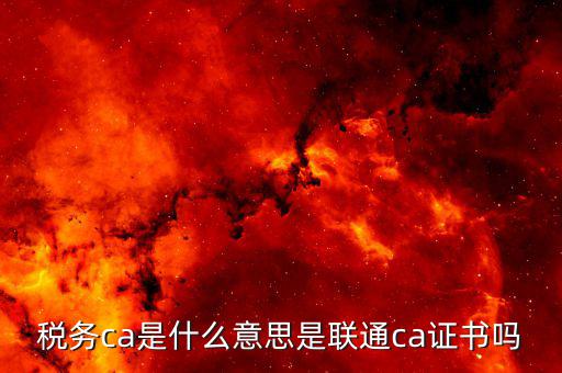 稅務(wù)ca是什么意思是聯(lián)通ca證書(shū)嗎