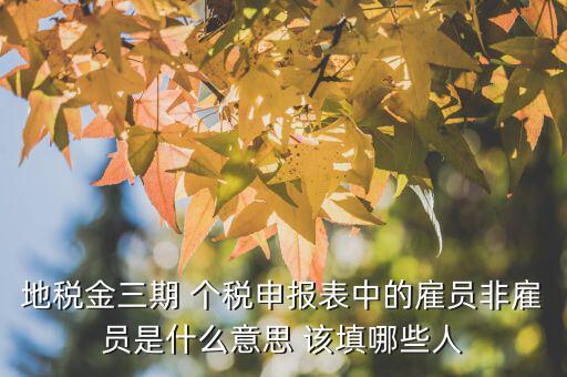 雇員納稅人是什么意思，地稅金三期 個(gè)稅申報(bào)表中的雇員非雇員是什么意思 該填哪些人
