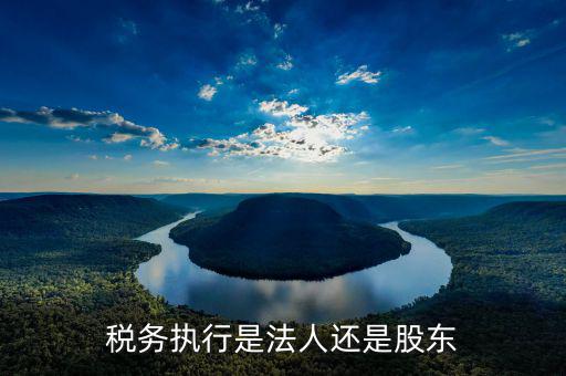 稅收政策執(zhí)行是干什么的，稅務(wù)執(zhí)行是法人還是股東
