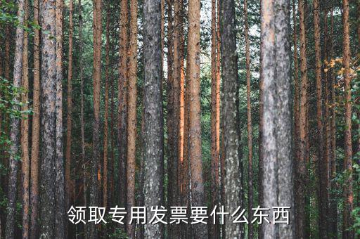 領(lǐng)購(gòu)專(zhuān)票需要帶什么，領(lǐng)購(gòu)增值稅專(zhuān)用發(fā)票需要帶哪些東西詳細(xì)點(diǎn)謝謝