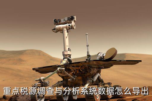 重點稅源調查與分析系統(tǒng)數據怎么導出