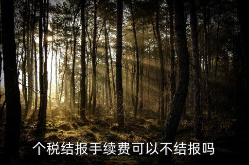 手續(xù)費結(jié)報是什么意思，請問個稅手續(xù)費申領(lǐng)具體怎么解釋啊謝謝咯