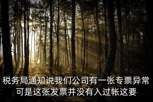 稅務(wù)局通知說我們公司有一張專票異?？墒沁@張發(fā)票并沒有入過帳這要