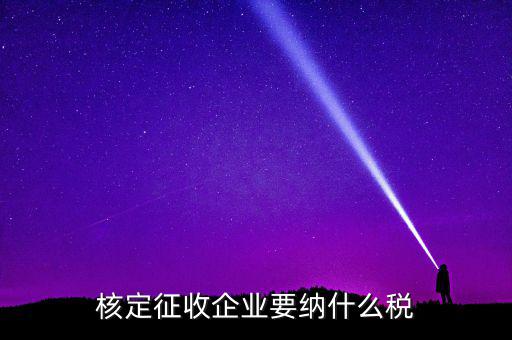 什么稅可以核定征收，核定征收企業(yè)要納什么稅