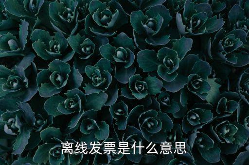 離線開票什么意思，離線發(fā)票是什么意思
