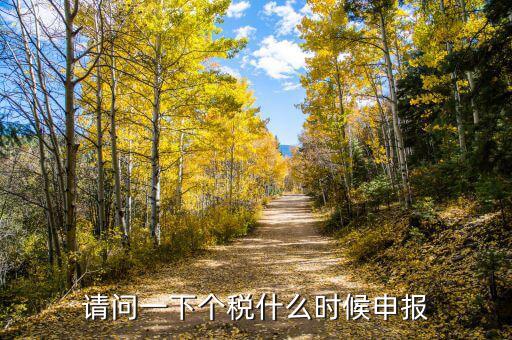 請問一下個稅什么時(shí)候申報(bào)