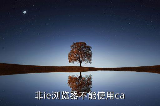 ca驅(qū)動(dòng)程序是什么，非ie瀏覽器不能使用ca