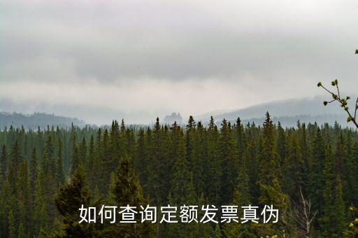 定額發(fā)票查詢(xún)的密碼是什么，如何查詢(xún)定額發(fā)票真?zhèn)?/></a></span><span id=