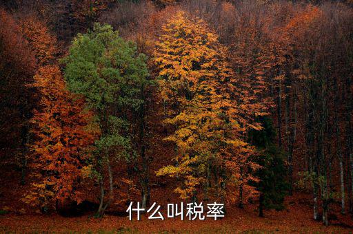 什么叫增值稅稅率，增值稅普通發(fā)票的稅率是什么意思