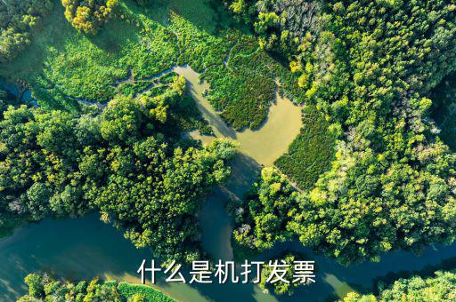 什么是機打發(fā)票，什么是機打發(fā)票