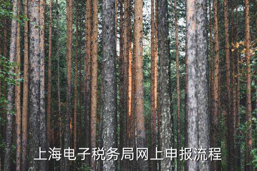上海稅務(wù)網(wǎng)上直報(bào)是什么，什么是網(wǎng)上報(bào)稅