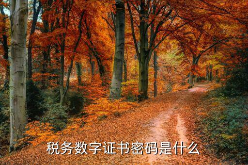煙臺(tái)國稅證書密碼是什么，登錄國稅網(wǎng)上辦稅服務(wù)廳的用戶名和密碼是什么