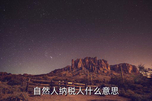 什么是自然人辦稅，自然人納稅人什么意思