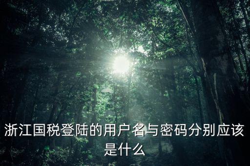 浙江國(guó)稅密碼是什么意思，浙江地稅開(kāi)票軟件中數(shù)據(jù)庫(kù)密碼是多少