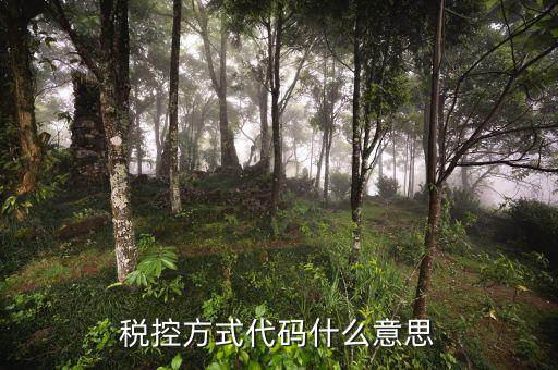 什么叫稅控碼，稅控方式代碼什么意思