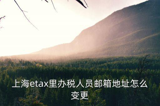 上海etax里辦稅人員郵箱地址怎么變更