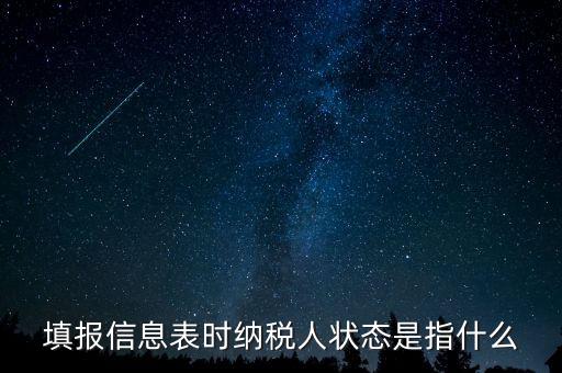 納稅人狀態(tài)03是什么意思，填報(bào)信息表時(shí)納稅人狀態(tài)是指什么