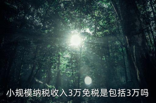 3萬(wàn)免稅是指什么，小規(guī)模納稅收入3萬(wàn)免稅是包括3萬(wàn)嗎