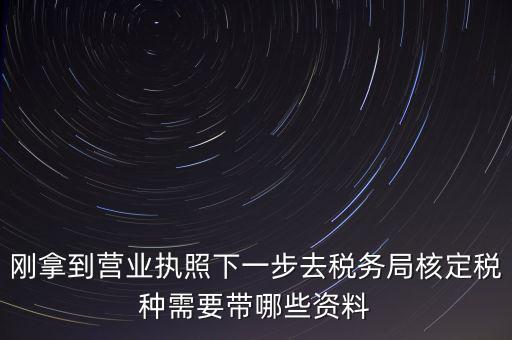 湖北國稅增加稅種需要帶什么資料，企業(yè)報稅種需要帶什么資料