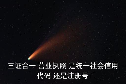 三證合一 營業(yè)執(zhí)照 是統(tǒng)一社會(huì)信用代碼 還是注冊號(hào)