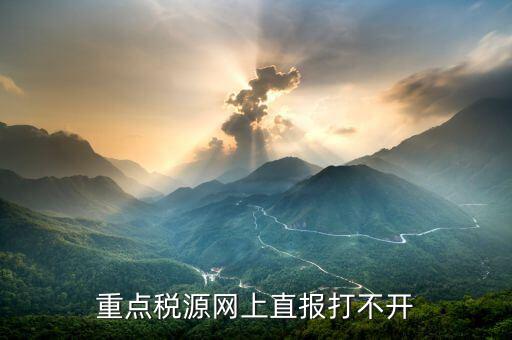 重點稅源網上直報打不開