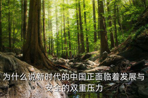 中國的雙重負擔(dān)是什么，為什么說新時代的中國正面臨著發(fā)展與安全的雙重壓力